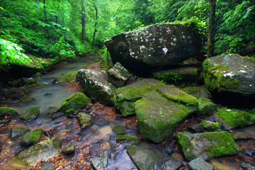Tranquil Creek Scene in Alabama