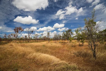 Foto op Aluminium Landscape of Kakadu National Park, Australia © wrobel27