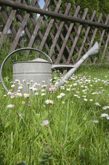 Watering can against wooden fence in spring garden