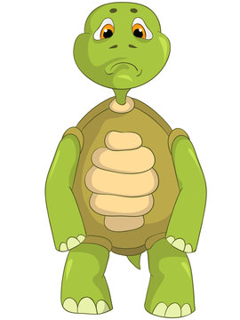 Sad Turtle.