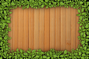 wooden plank background with green plant frame