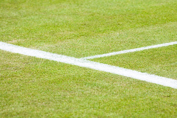 Tennis court closeup