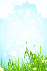Background with Grass and Sky