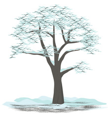 Tree winter