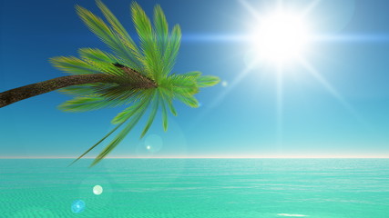 Fototapeta premium 水平線