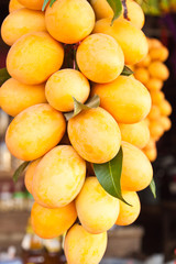 Fototapeta na wymiar Maprang: owoce tropikalne z Tajlandii
