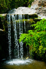 waterfall in Zoo of Los Angeles