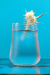iced  water glass with seashell inside