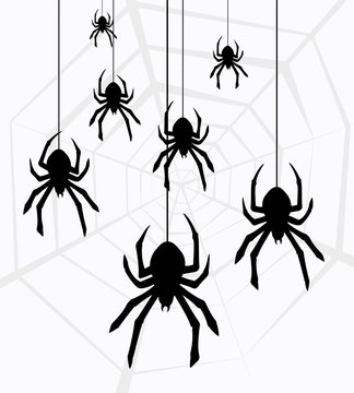 vector hanging spiders and web