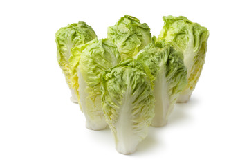 Baby gem lettuce © Picture Partners