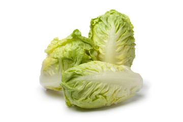 Baby gem lettuce
