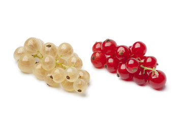 Fresh white and red currants