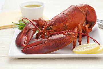 Fresh cooked lobster