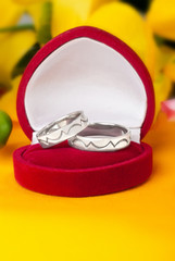 Wedding rings made of white gold