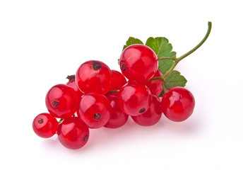 Red currant, isolated on white