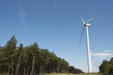 wind turibines