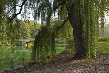 Central Park Bow bridge