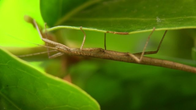 se mettre &agrave; l ombre