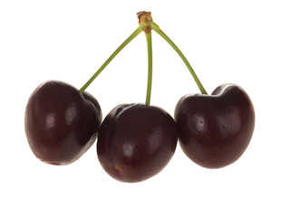 Fresh Cherries