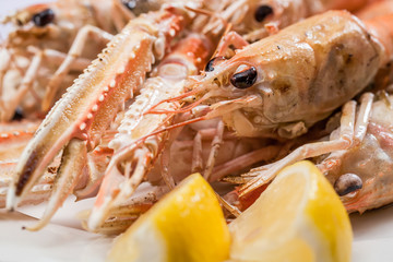 Scampi