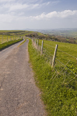 Fototapeta na wymiar Eggardon Hill w hrabstwie Dorset