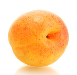 ripe sweet apricot isolated on white