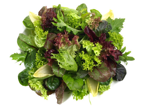 Blattsalat Mix