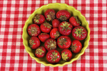Les fraises du jardin