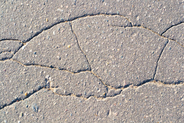 Obraz premium The crack in the asphalt