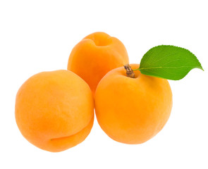 Apricots on white