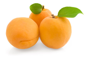 Apricots on white