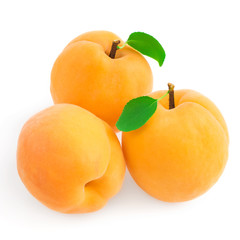 Apricots on white