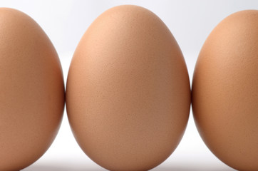 close up of eggs isolated on white background