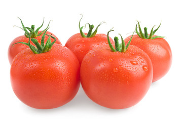 Close-up photo of tomatoes with water drops