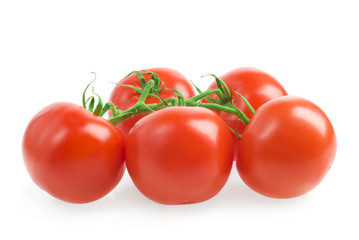 tomatoes