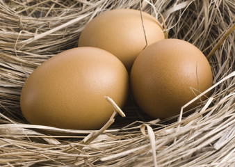 Macro shoot of brown eggs at hay nest in chicken farm