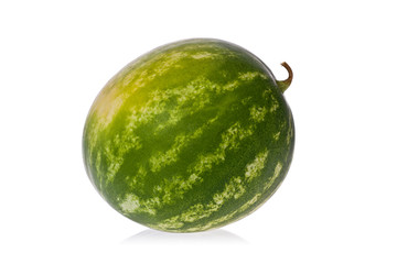 Watermelon (Citrullus lanatus)