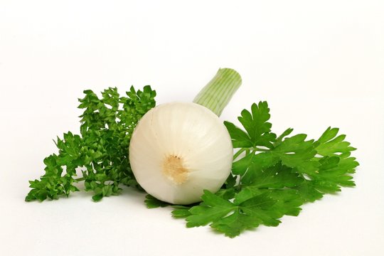 Oignon blanc