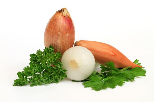 Les alliac&eacute;es