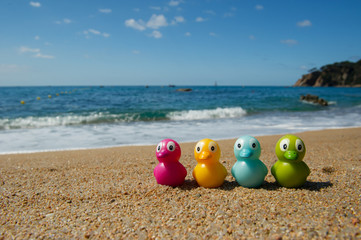 Fototapeta na wymiar Duck toys at the beach