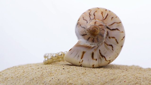 Rotating shell