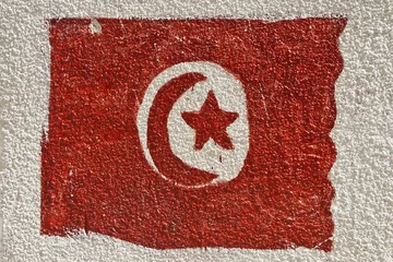 Foto op Canvas Flag of Tunisia © Pavel Savchenkov