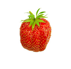 Strawberries berry