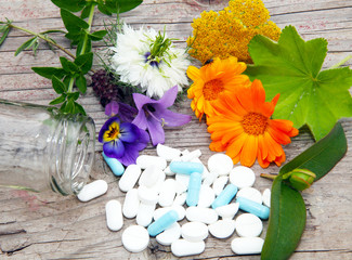 Heilpflanzen und Tabletten