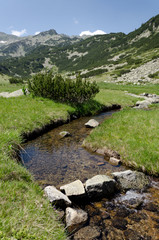 Fototapeta na wymiar Mountain river landscape