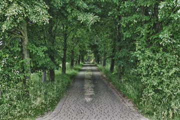 alte Landstraße aus Naturstein