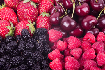 strawberry, raspberries, mulberry and cherry