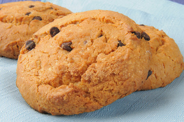 Chocolate chip cookie closeup