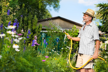 Senior man watering the garden with hose