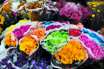 Travel Photos of New York - Manhattan